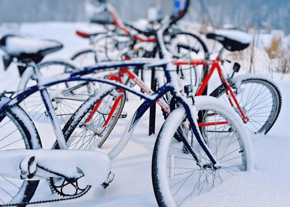 Cykelguide - vinterbrug
